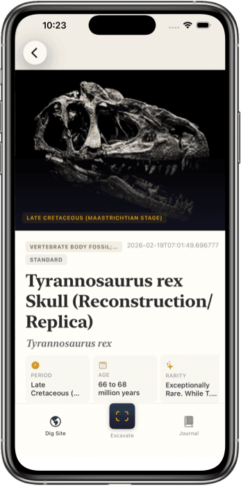 Fossil Identifier App Interface